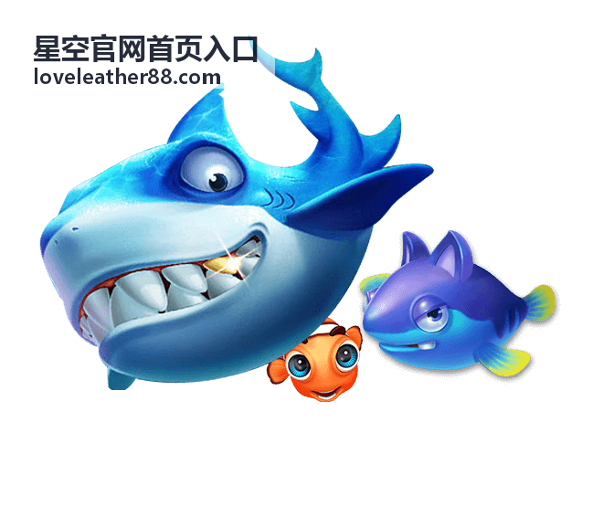 星空官网首页入口页面结构示意