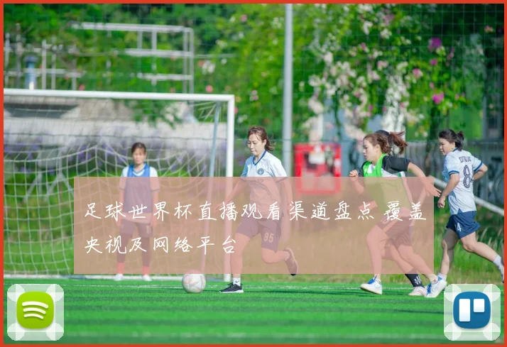 足球世界杯直播观看渠道盘点 覆盖央视及网络平台
