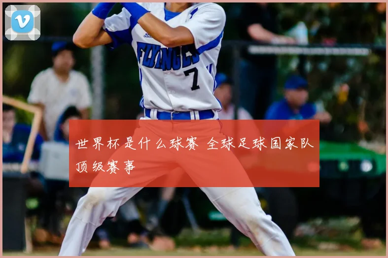 世界杯是什么球赛 全球足球国家队顶级赛事